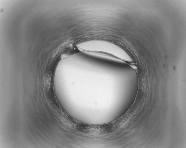 X0000087690697200705251709