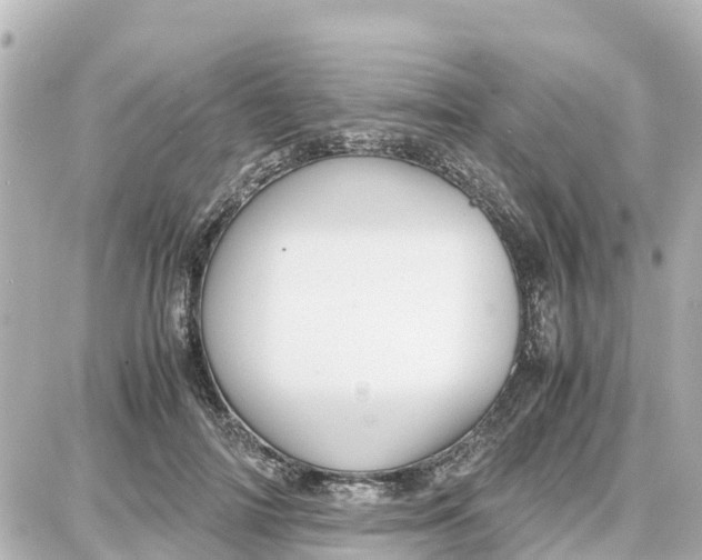 X0000087690698200705251709