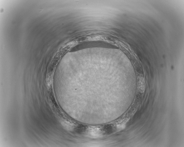 X0000087690701200705251709