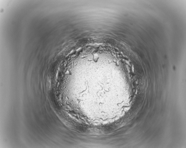 X0000087690703200705251709