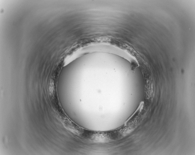 X0000087690704200705251709