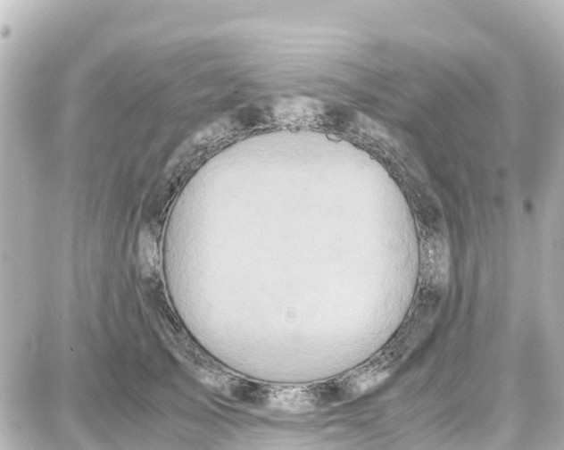 X0000087690705200705251709