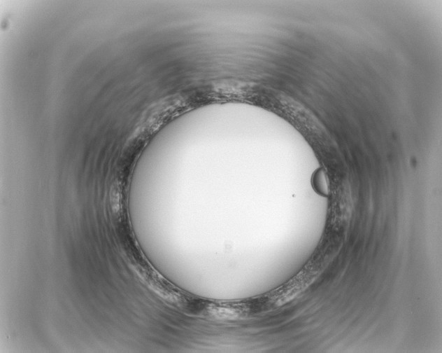 X0000087690706200705251709