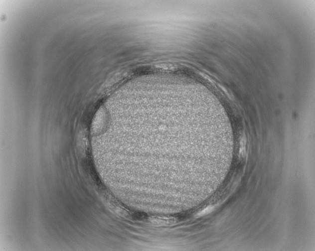 X0000087690707200705251709