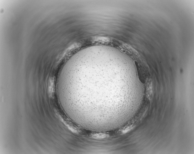 X0000087690708200705251709