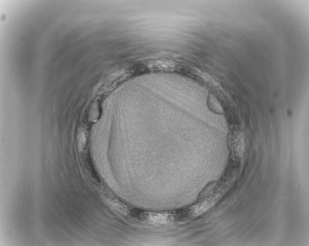 X0000087690709200705251709