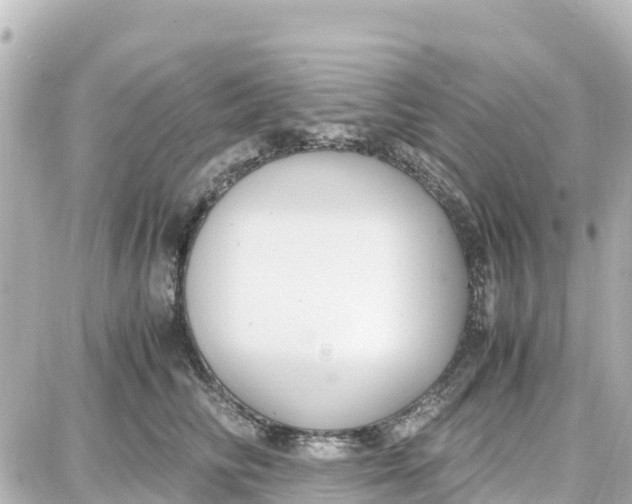 X0000087690710200705251709