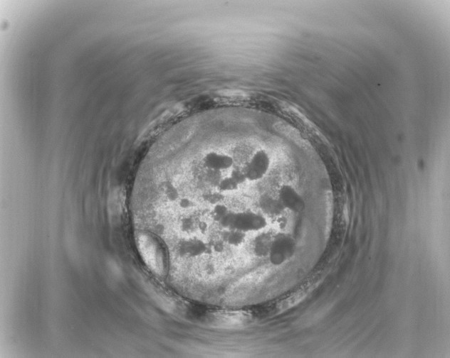 X0000087690711200705251709