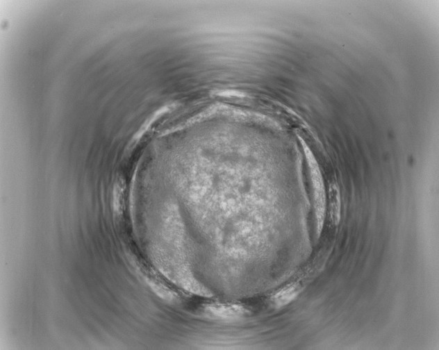 X0000087690712200705251709