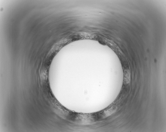 X0000087690713200705251709