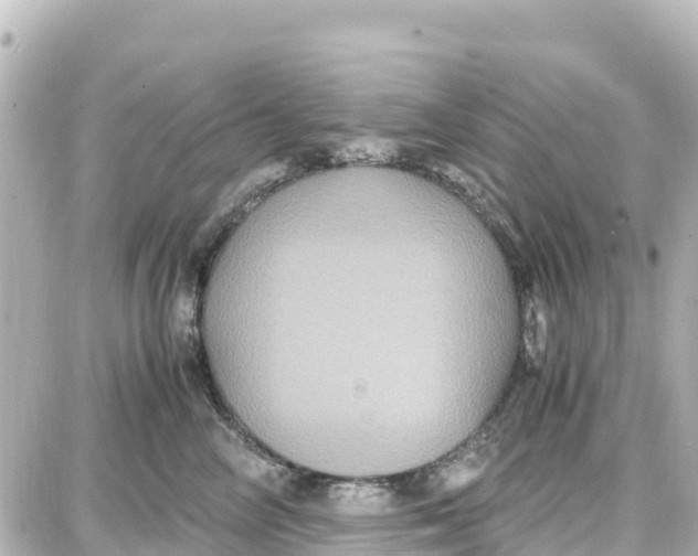 X0000087690714200705251709