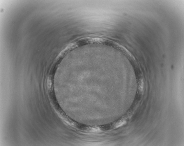 X0000087690715200705251709