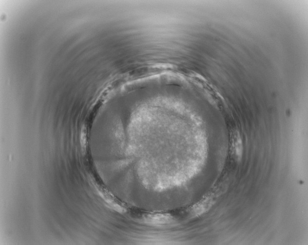 X0000087690716200705251708