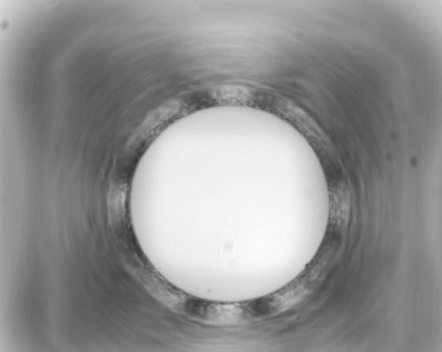 X0000087690717200705251708