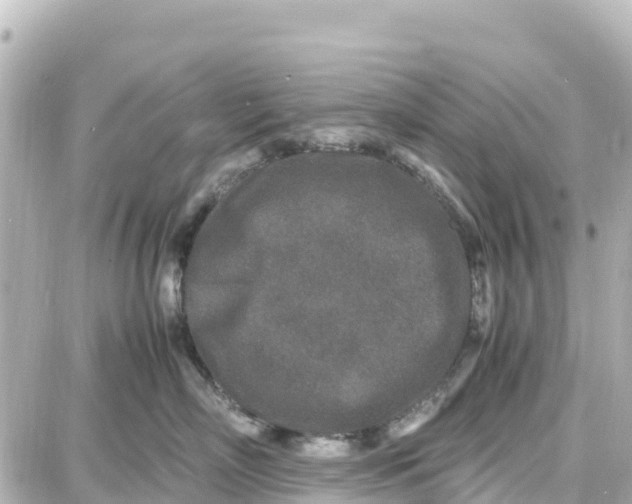 X0000087690718200705251708