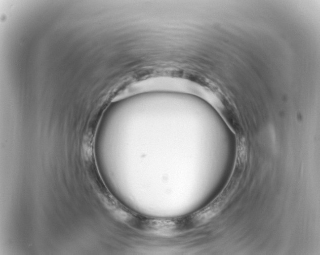 X0000087690719200705251708