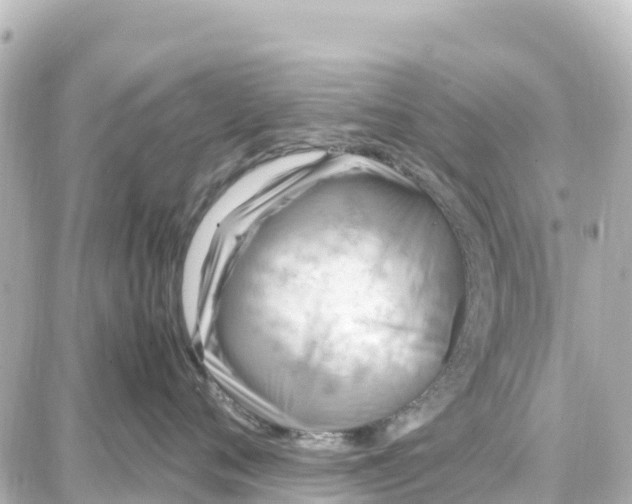 X0000087690720200705251708