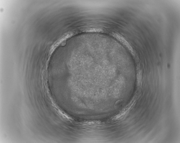 X0000087690721200705251708