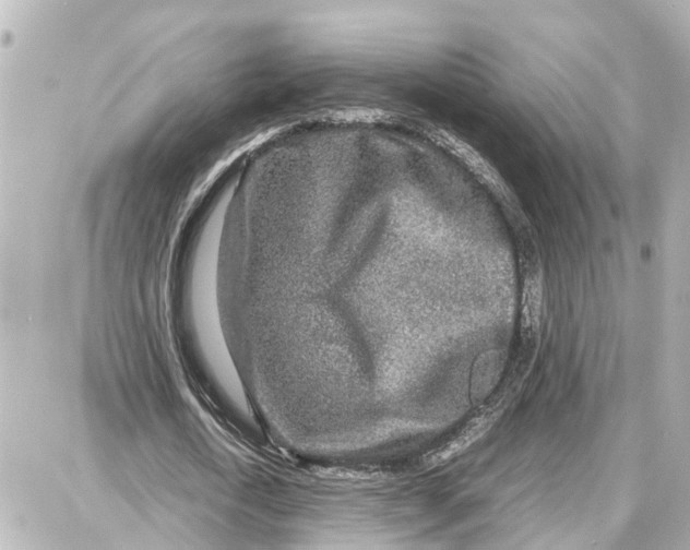 X0000087690722200705251708