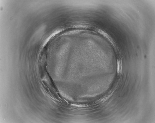 X0000087690723200705251708