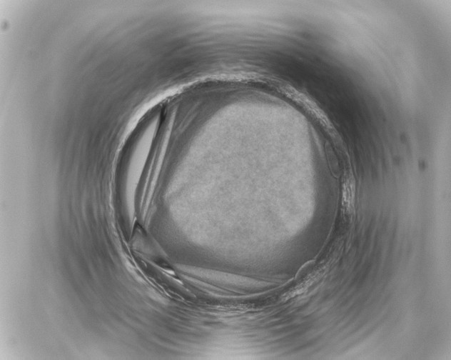 X0000087690724200705251708