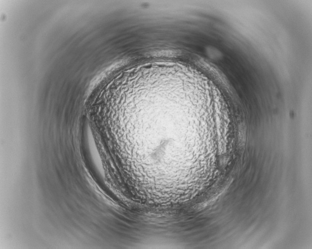 X0000087690725200705251708