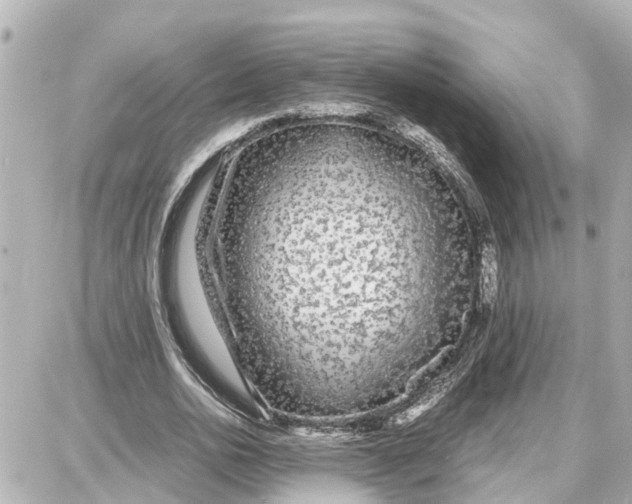 X0000087690726200705251708