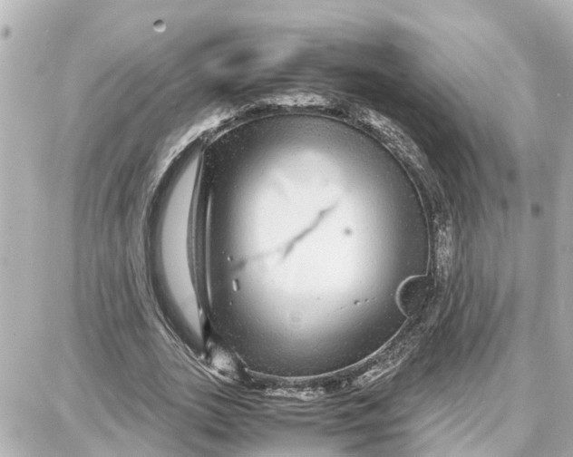 X0000087690727200705251708