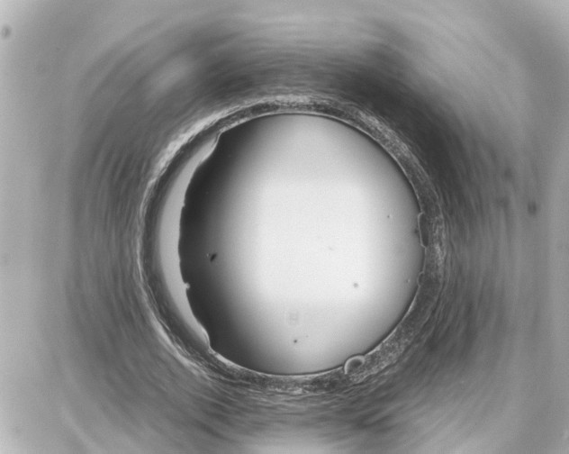 X0000087690728200705251708