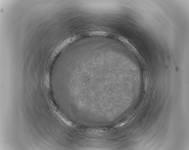 X0000087690729200705251708