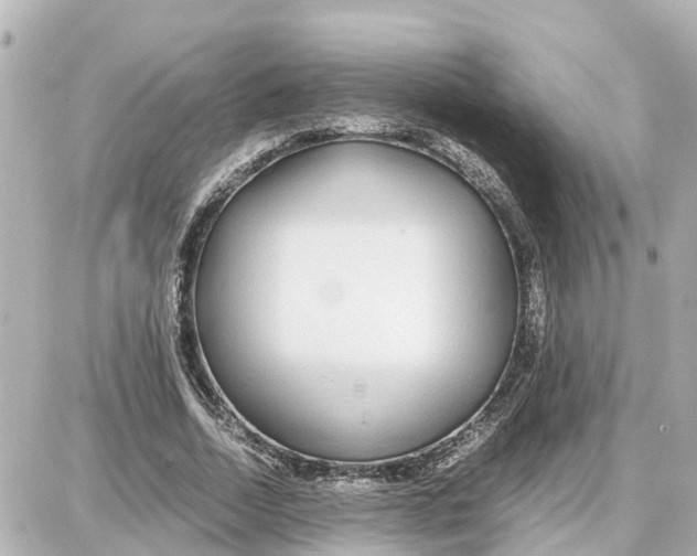 X0000087690730200705251708