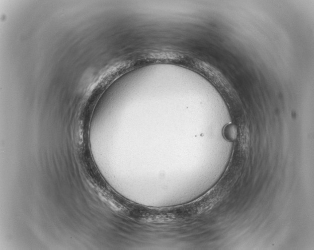 X0000087690731200705251708