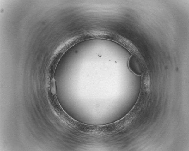 X0000087690732200705251708