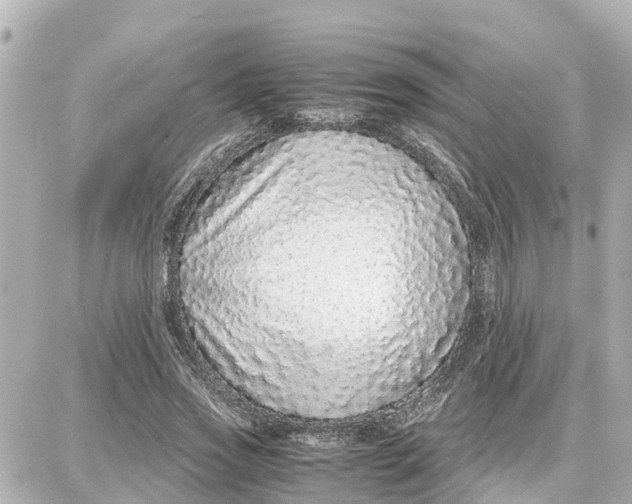 X0000087690733200705251708