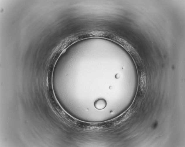 X0000087690734200705251708