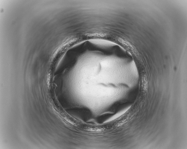 X0000087690735200705251708