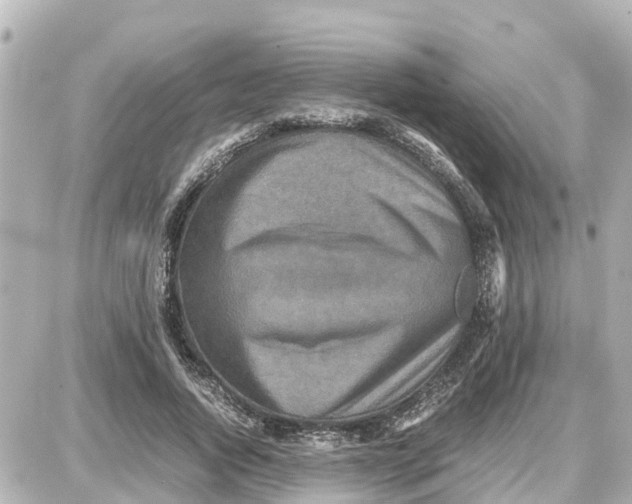 X0000087690736200705251708