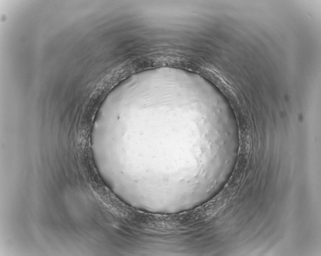 X0000087690737200705251708