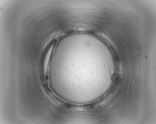 X0000087690738200705251708