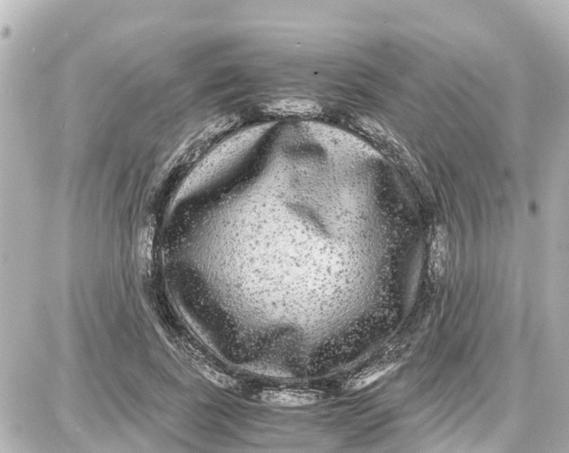 X0000087690739200705251708