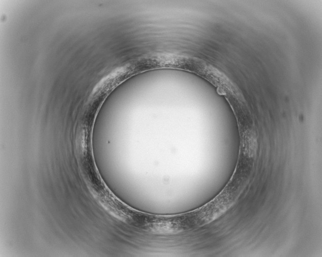 X0000087690740200705251708