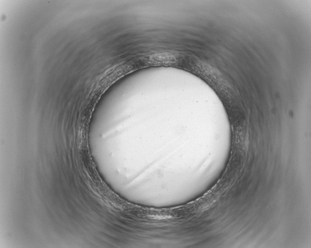 X0000087690741200705251708