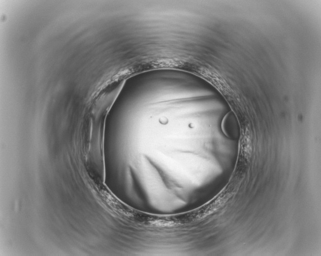 X0000087690742200705251708