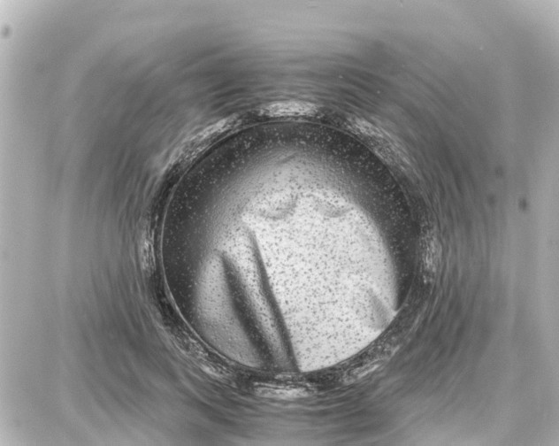 X0000087690743200705251708