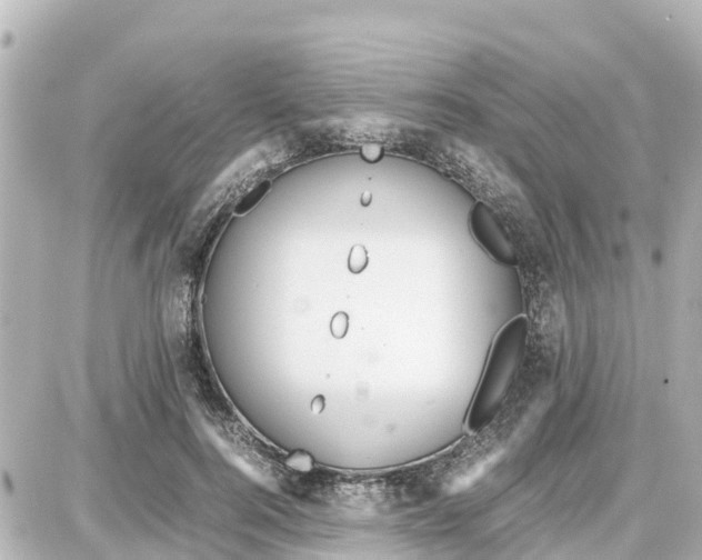 X0000087690744200705251708