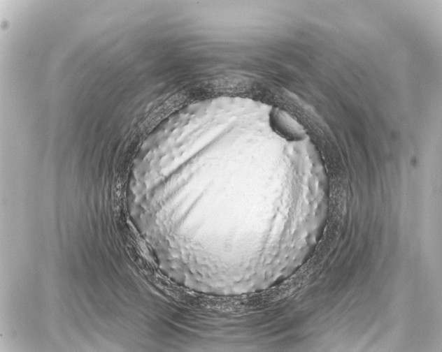 X0000087690745200705251708