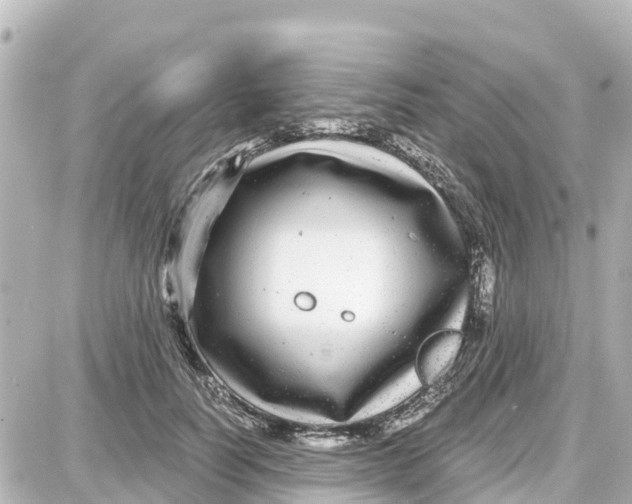 X0000087690746200705251708