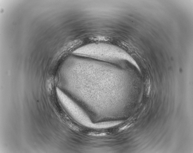 X0000087690747200705251708