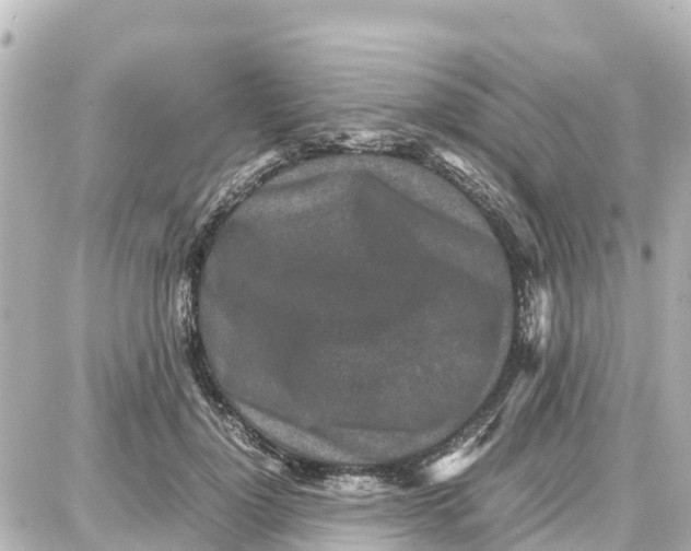 X0000087690748200705251708