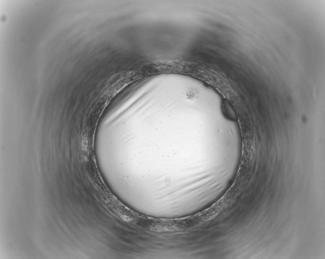 X0000087690749200705251708